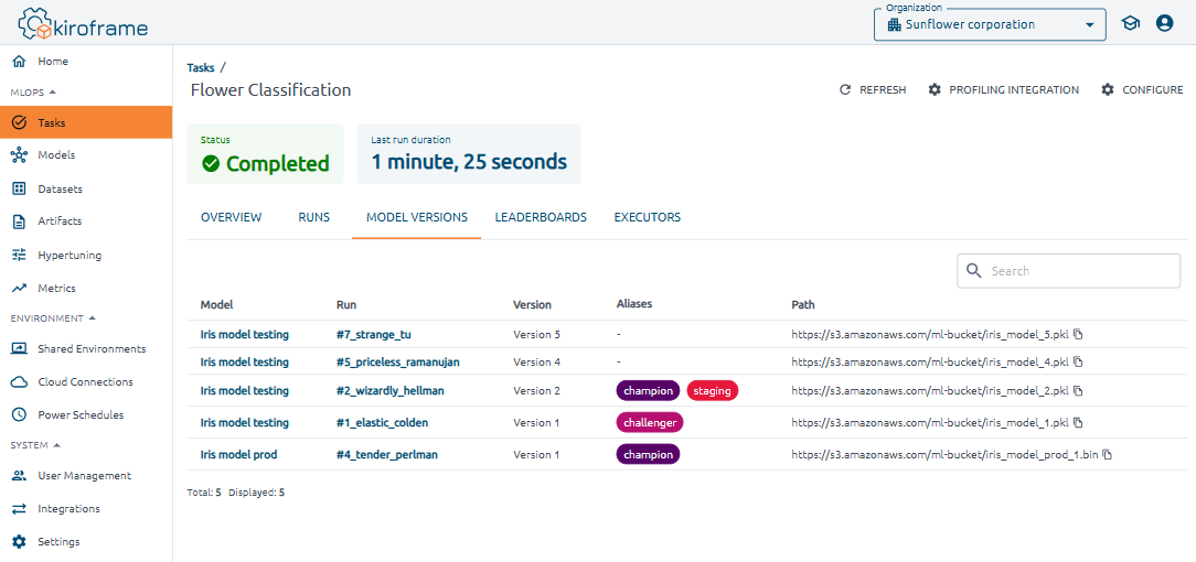 how to view model version