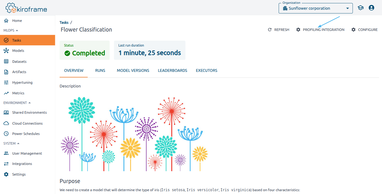 profiling integration